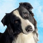 acetheaus profile picture