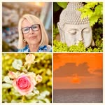 achtsamkeitsinsel profile picture