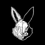 acidrunning profile picture
