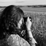 acornsandscapes profile picture