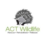 act_wildlife profile picture