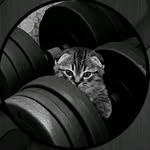 ad_em9711 profile picture