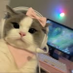 ada_wongg00 profile picture