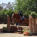 addison_equ profile picture