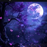 adeebaazeem87 profile picture