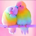 adeelakhtar.gie77 profile picture