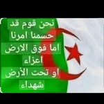 adel_brhm profile picture