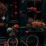 adelisa906 profile picture