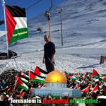 ademi_metin profile picture