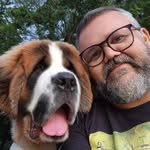 ademirlopes profile picture