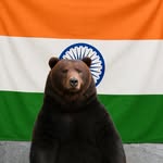 adhocc5 profile picture