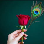 adhura.ishq0727 profile picture