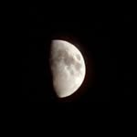 adibasheikh_34 profile picture