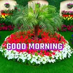 adilbabu928 profile picture