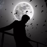 adityakumar912542 profile picture