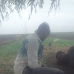 adivashi.parkash profile picture