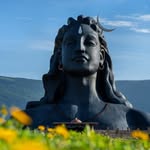 adiyogi.official profile picture