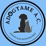 adogta.me profile picture