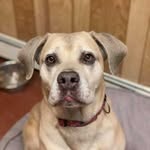 adopt.sunny profile picture