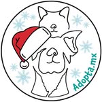 adopta.mx profile picture