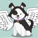 adopta.un.angelito profile picture