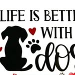 adoptableshelterbuddies profile picture
