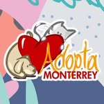 adopta_monterrey profile picture