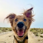 adora.bale profile picture