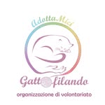 adottamici profile picture