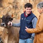 adriano_schu profile picture