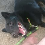 adrianses profile picture