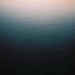 adrienchenel profile picture
