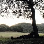 adrienroquenature profile picture