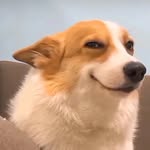 adultaaddaa profile picture