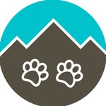 adventrapets profile picture