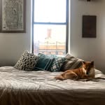 adventuresofmrsweaters profile picture