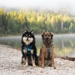 adventuringbears profile picture