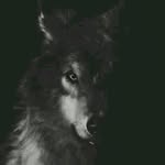 aeskyeas profile picture