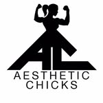 aesthetic_chicks profile picture