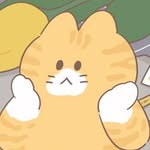 aevumi profile picture