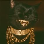 afaan._.5 profile picture