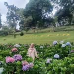 afifsultanabiyu profile picture