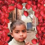 afjalshd profile picture