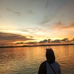 afreennaaz1349 profile picture