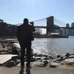 afreesframe profile picture