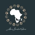 africabarefootsafaris profile picture