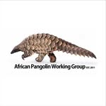 africanpangolinconservation profile picture
