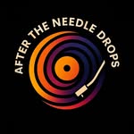 after_the_needle_drops profile picture