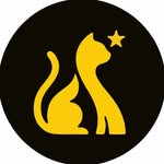 agenciagatomia profile picture
