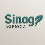 agensinag profile picture